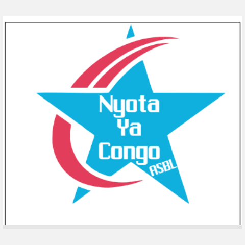 Nyota Ya Congo: Former la Jeunesse Congolaise pour un Avenir Prospère