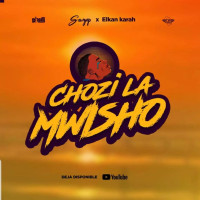 Chozi la mwisho X Elkan karah