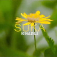 Suka