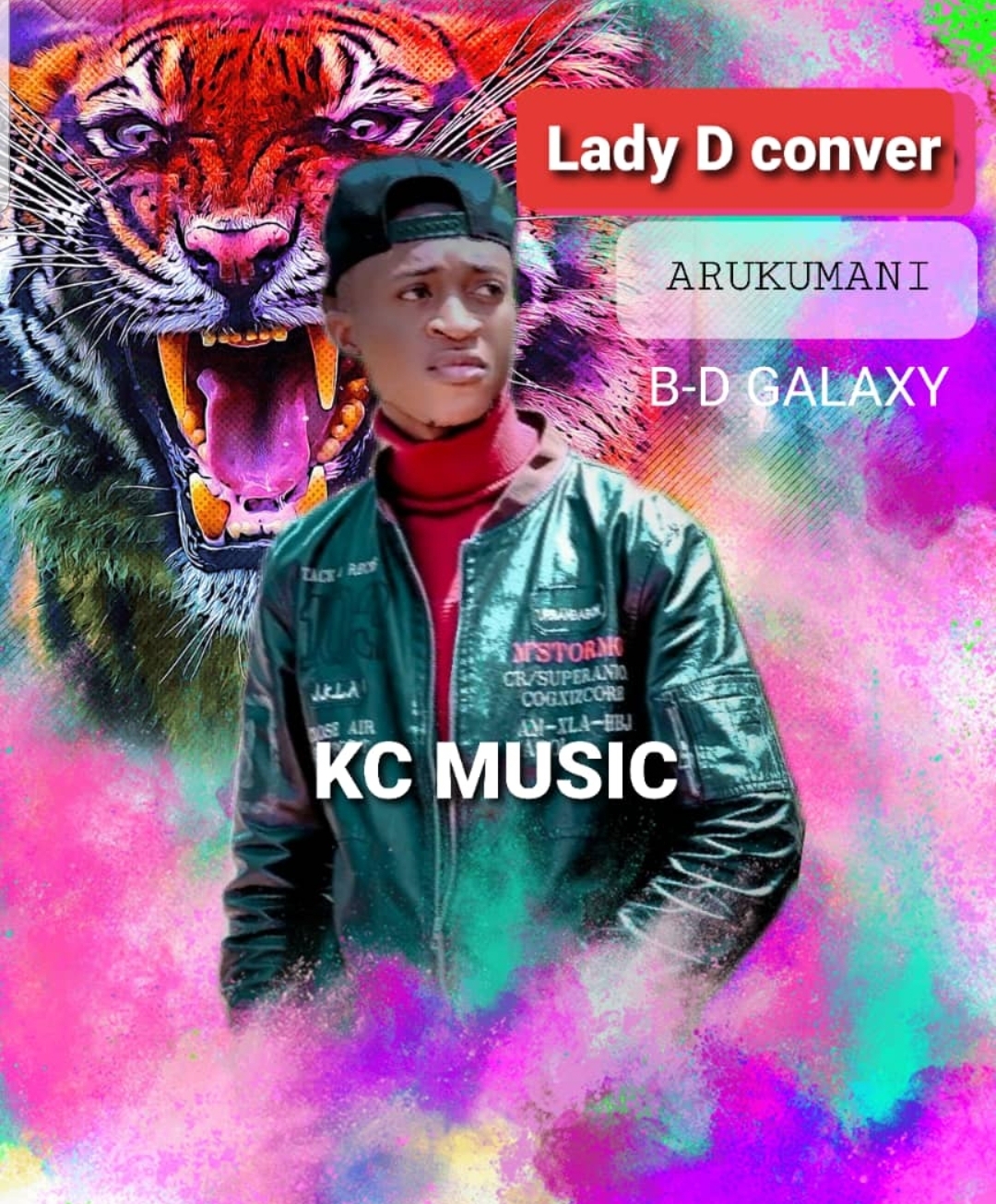 Fally Lady D cover